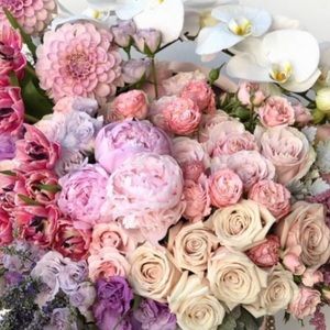 Meet your Posher, Mariam